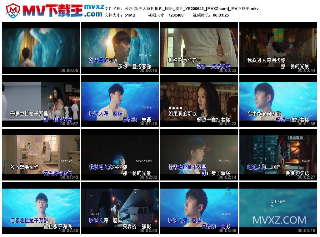 张杰-跃进人海拥抱你_国语_流行_YE200643